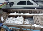 Bea Cukai Sebut Pemilik 25 Ton Pasir Timah Ilegal Pemain Besar