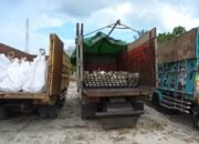 Kejati Babel Jadwalkan Pemeriksaan Pengurus Perusahaan Smelter