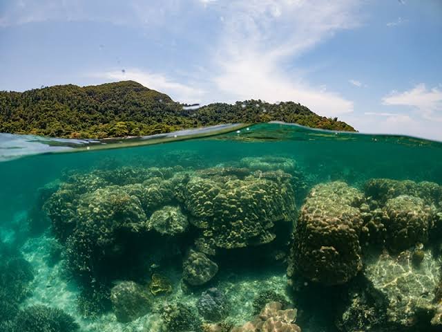 Tampak Pulau Gelasa di Kabupaten Bangka Tengah yang rencananya akan dibangun tapak Pembangkit Listrik Tenaga Nuklir. Foto/mongabay
